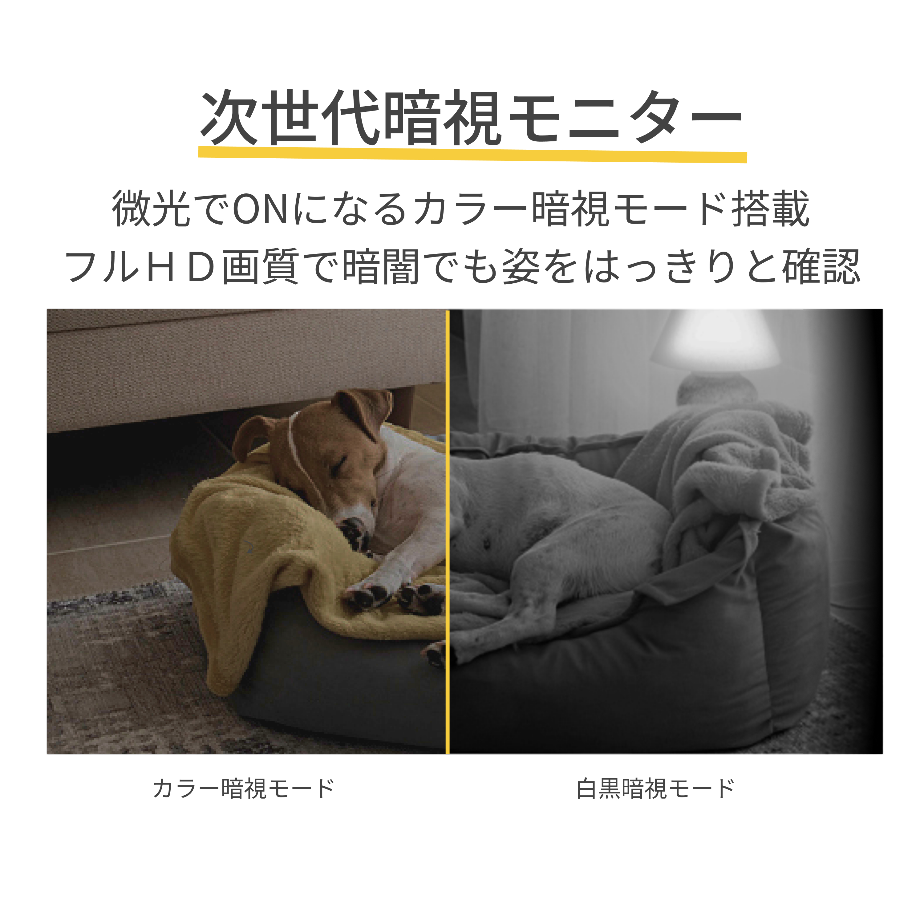 その他 その他 公式】Furboドッグカメラ - 360°ビュー｜商品詳細
